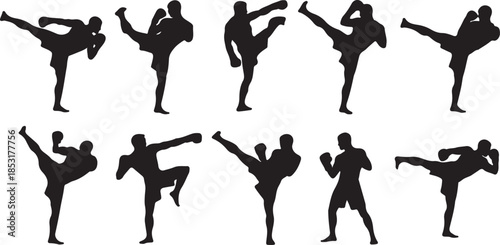 Silhouettes of Martial Artists Performing Kicks and Punches martial arts kicking