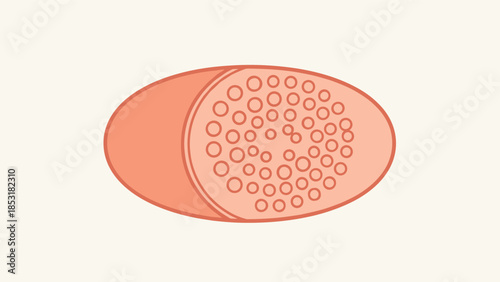 A simple line illustration of an oval-shaped exfoliating facial sponge with a textured surface for cleansing and skincare.