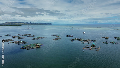 Fish farm with cages for fish and shrimp