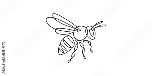 Continuous line drawing of a bee Vector, illustration