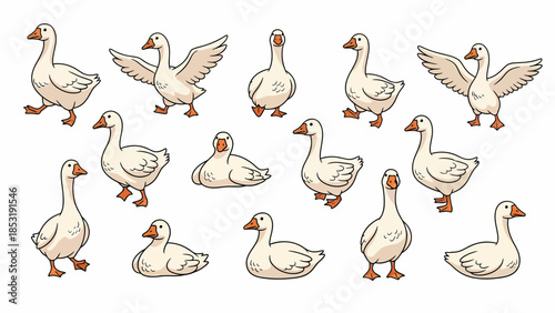 Cute Goose Characters Collection Various Poses and Actions, Vector Illustration