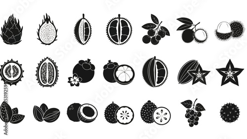 A collection of various fruits and leaves depicted in a minimalist black and white illustration style