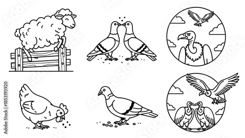Various birds illustrated in different poses and environments around a sheep