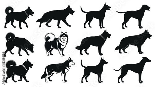 Collection of canine silhouettes in various poses and breeds on a white background