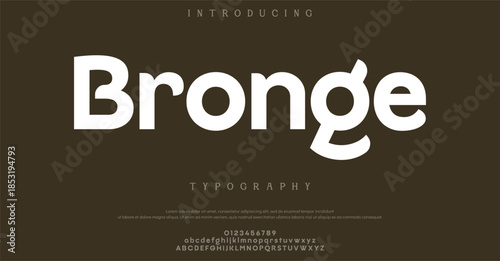 Elegant alphabet letters serif font and number. Classic Lettering Minimal Fashion. Typography fonts regular uppercase, lowercase and numbers. vector illustration