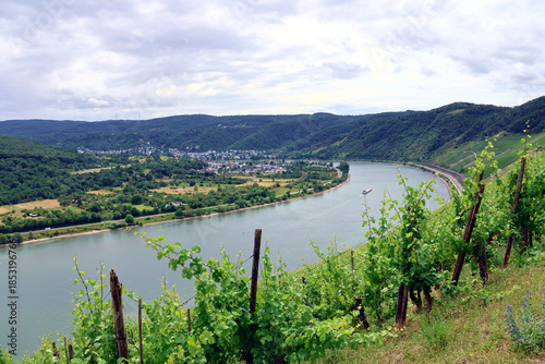 Tableau sur toile Panoramablick auf den Bopparder Hamm und den Rhein im UNESCO-Welterbe Oberes Mittelrheintal