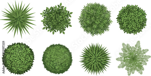Top view garden plants and bushes collection with tropical shrubs foliage for landscaping park design vector illustration set isolated editable