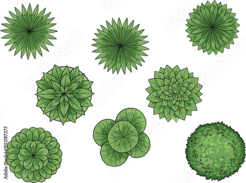Top view green plant rosette set vector illustration botanical elements for landscape design garden planning architecture projects use commercial branding