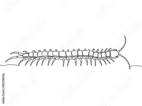 Centipede Crawling on Ground Line Art Illustration