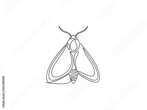Moth Line Art Illustration Isolated on White Background