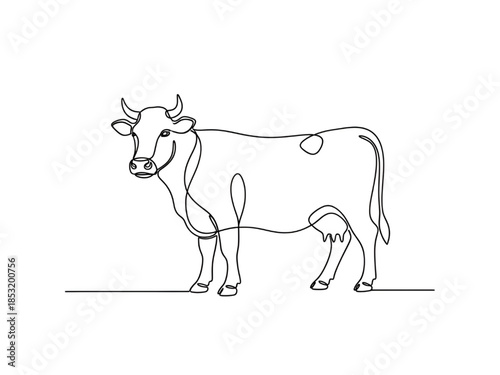 Cow Line Art Illustration Isolated on White Background