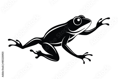jumping frog line art silhouette vector illustration
