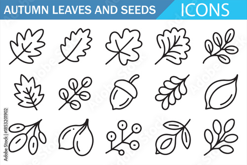 Fall Season Leaves and Acorns Line Icons Vector Illustration