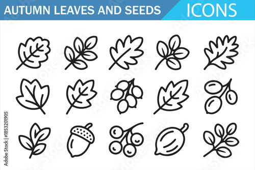 Autumn Leaves and Seeds Outline Icons Set Nature Collection