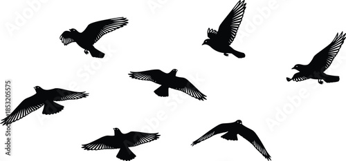 Bird flight silhouette illustration, black flying birds, wing motion vector, nature concept design, avian movement pattern, wildlife art, dynamic pose