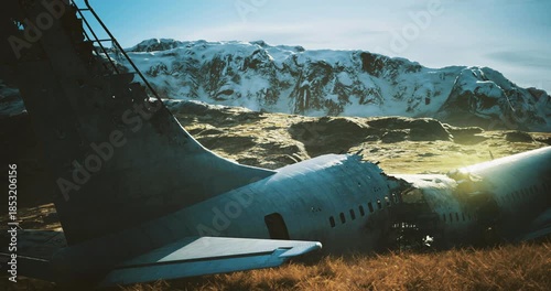 Wallpaper Mural A damaged aircraft lies on a grassy hillside, surrounded by snowy mountains under clear blue skies. The bright sunlight casts a warm glow on the scene, enhancing the dramatic setting. Torontodigital.ca