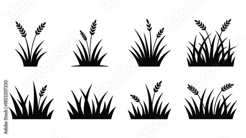 Eight black silhouette grass clusters with wheat stalks on a white background Keywords: grass, silhouette, black, white background, wheat, grain, agriculture, nature, field, meadow, plant, growth