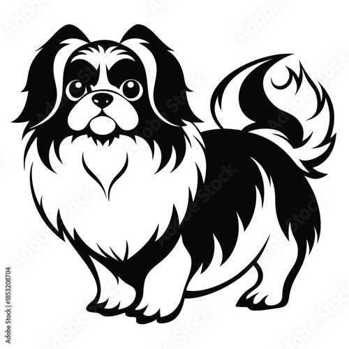 japanese chin line art silhouette vector illustration