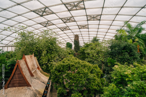 Leipzig, Germany - Dec 2 2025 Leipzig Zoo Tropical Rainforest inside Gondwanaland greenhouse