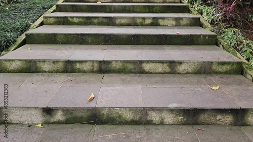 Stone Steps Surrounded by Greenery for Garden and Landscape Ads. Decorative Stone Steps with Lush Green Landscape for Commercial Use. Elegant Garden Steps Leading Through Beautiful Green Foliage.