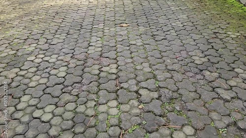 Stone Paved Pathway for Garden and Landscaping Design. Decorative Stone Pathway for Garden Decoration and Outdoor Use. Textured Stone Pavement Ideal for Commercial Landscaping Projects.