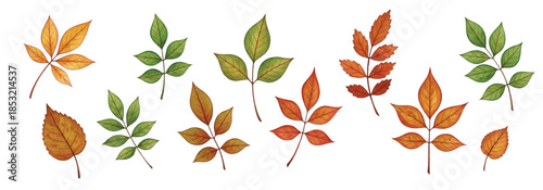 Adobe Illustrator Artwork