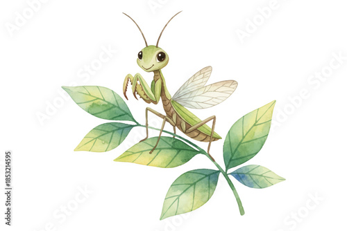 Adobe Illustrator Artwork