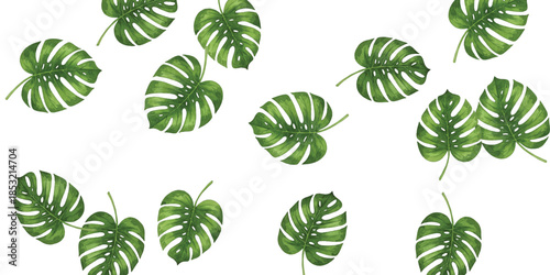 Adobe Illustrator Artwork