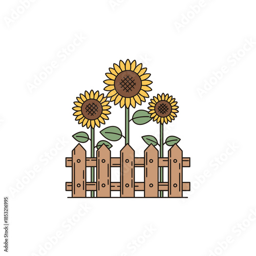 Sunflowers growing by a wooden fence in a garden setting  