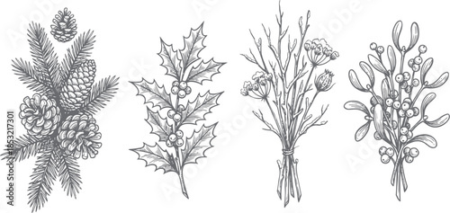 Hand drawn winter botanical elements vector illustration