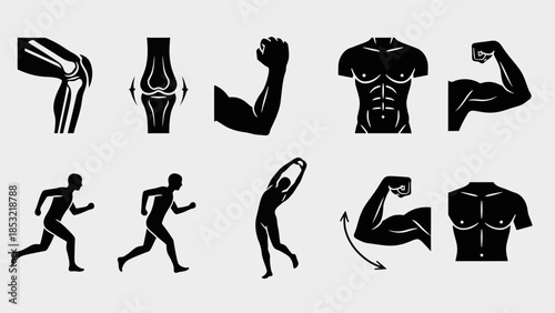 Human body anatomy and exercise illustrations on white background