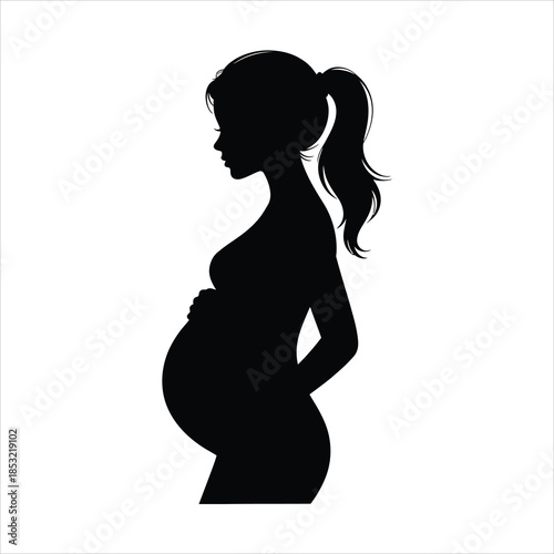 A beautiful black silhouette depicts a pregnant woman holding her baby bump in profile view