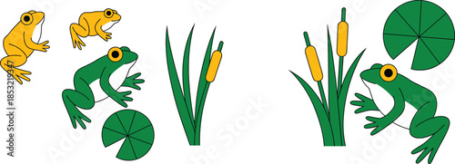 Frog and tadpole cartoon illustration set with water lily leaves and cattail plants, amphibian life cycle elements, nature and wetland wildlife isolated on white background