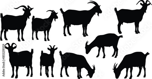 Goat silhouette vector collection, various domestic farm and wild animal poses including standing and grazing, different ages and large horned bucks, simple livestock graphics.