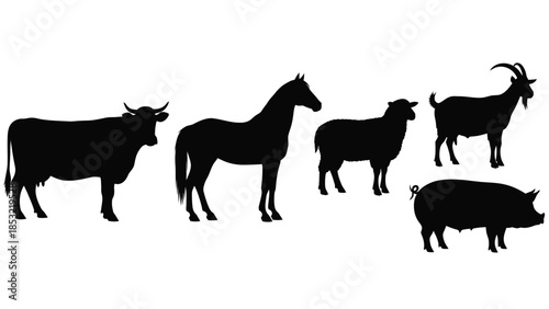 Silhouettes of bull horse sheep goat and pig on white background farm animals