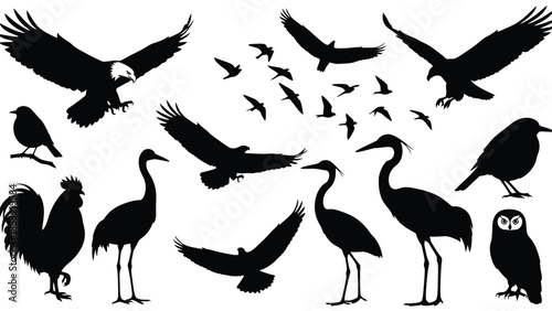 Silhouettes of various birds in flight and standing on the ground eagle