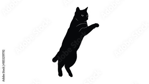 Silhouette of a black cat stretching with a raised paw