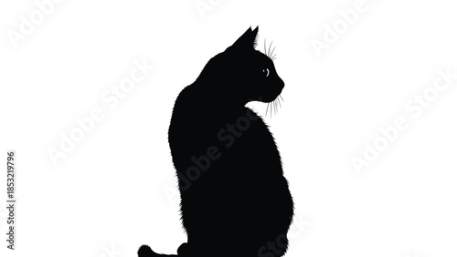 Silhouette of a black cat with whiskers visible profile