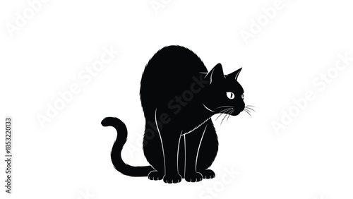 Black cat sitting with visible whiskers and tail