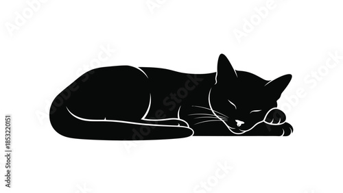 Black cat sleeping with whiskers visible in silhouette style 1