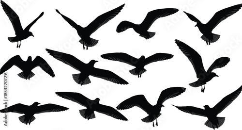 Flying bird silhouettes collection featuring seagulls in different wing positions, black wildlife shapes in motion, nature and freedom concept isolated on white background