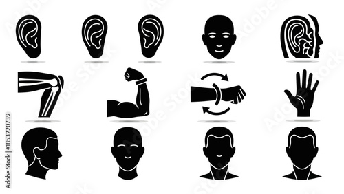 Human body parts and facial features collection in black and white