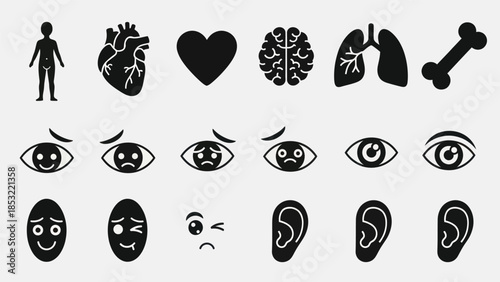 Human body parts and organs icons medical and anatomical illustrations