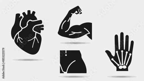 Human body parts and organs silhouettes illustrative medical concepts