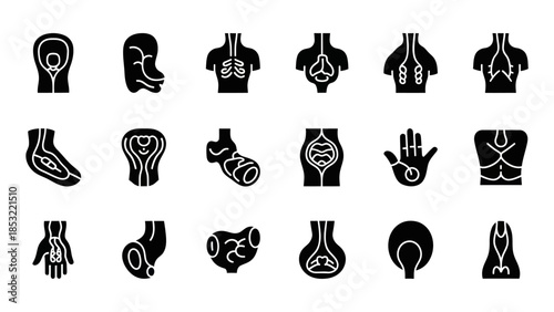 Human body anatomy illustrations internal organs and systems depicted in black