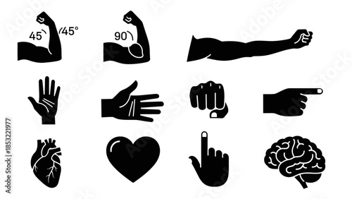 Human body parts and symbols vector illustrations for design and education