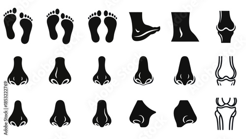 Human body parts illustrations footprints feet nose knee and bone vectors