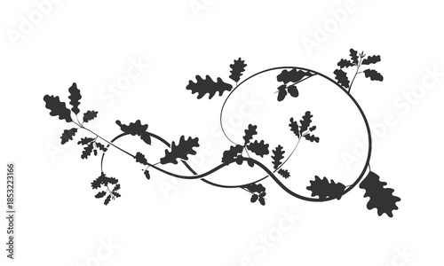 An element for creating an ornament: oak weaving