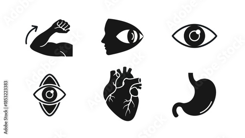 Human body parts silhouettes arm eye heart stomach isolated on white