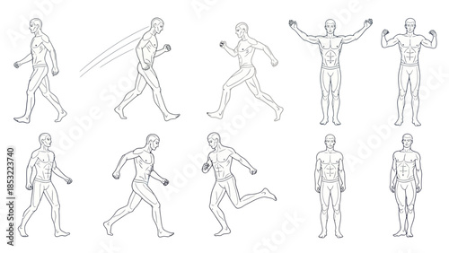Human body poses and movements depicted in vector outlines on white